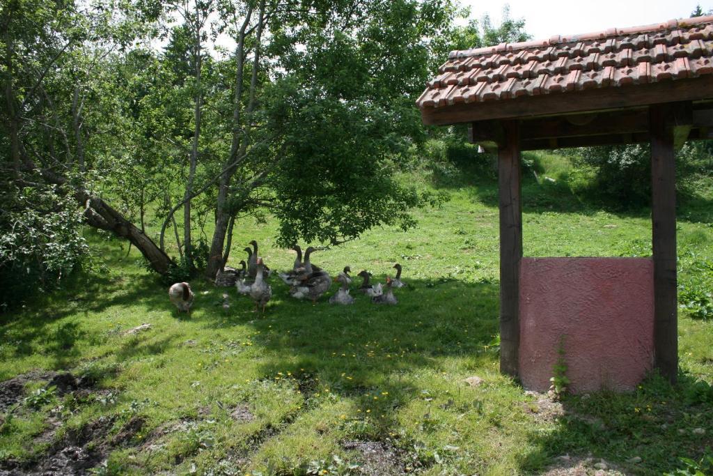 Gites Du Kreuzweg Le Hohwald Zewnętrze zdjęcie