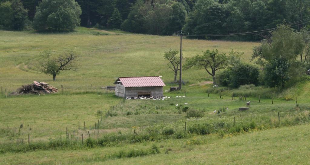 Gites Du Kreuzweg Le Hohwald Zewnętrze zdjęcie