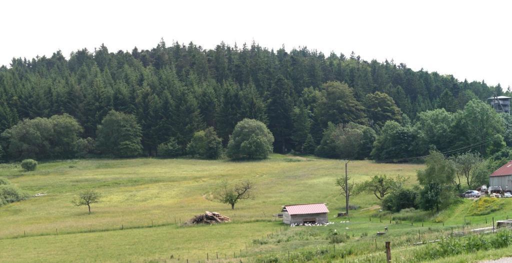 Gites Du Kreuzweg Le Hohwald Zewnętrze zdjęcie